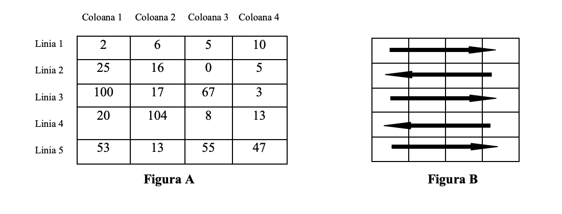 Figura 1 din enunțul original al problemei soricel.