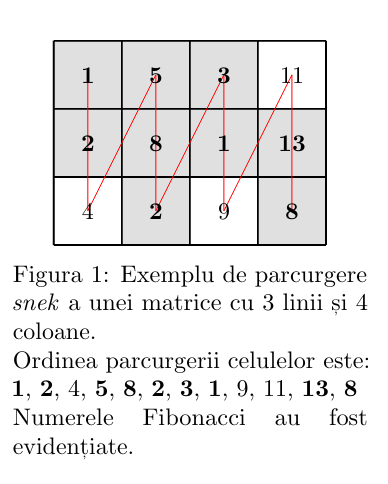 Figura 1 din enunțul original al problemei fibosnek.